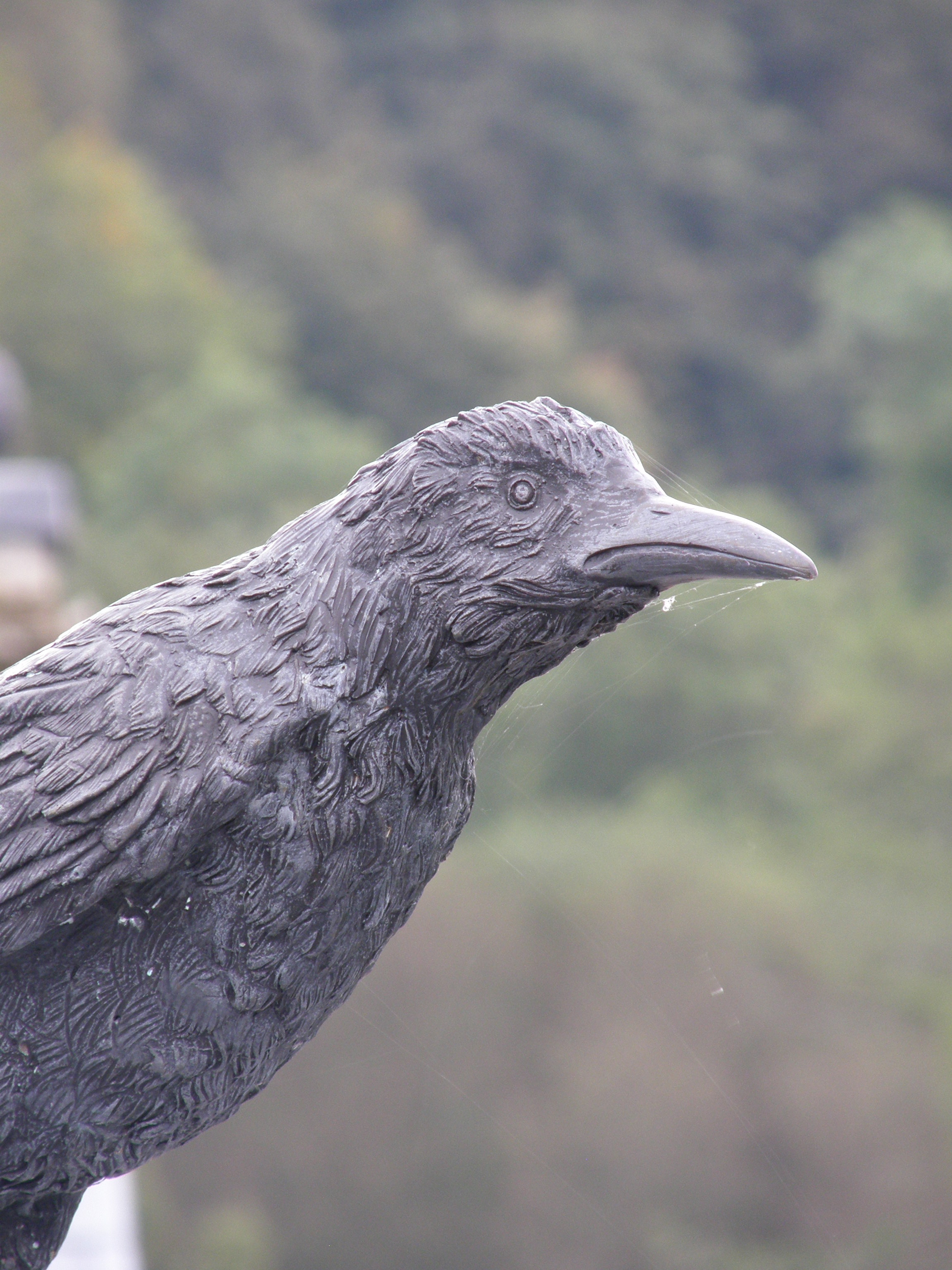 Raven Sculpture, Rooftop Garden, New Lanark, Scotland