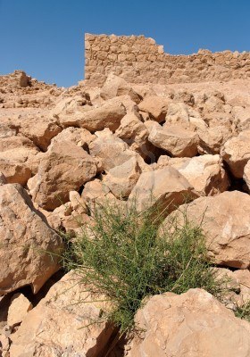Ruins of Masada Fortress in Israel