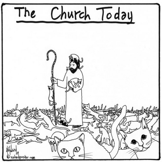 The Church Today - Jesus Herding Cats