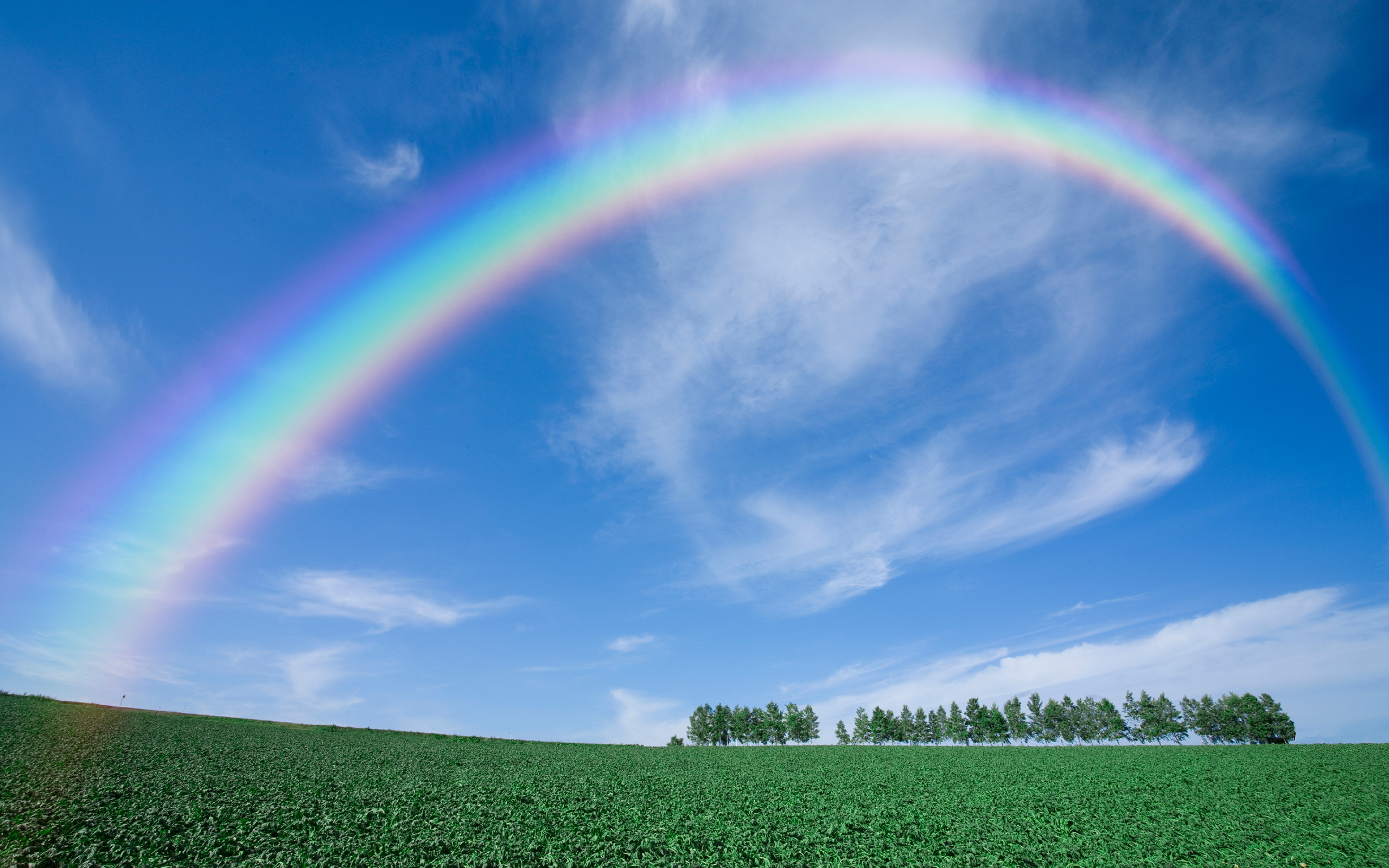 Rainbow over Farm Landscape